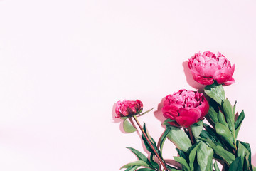 Fototapeta premium Floral frame. Pink peonies with hard shadow on pastel background, copy space. Trendy pattern, summer concept. Top view.