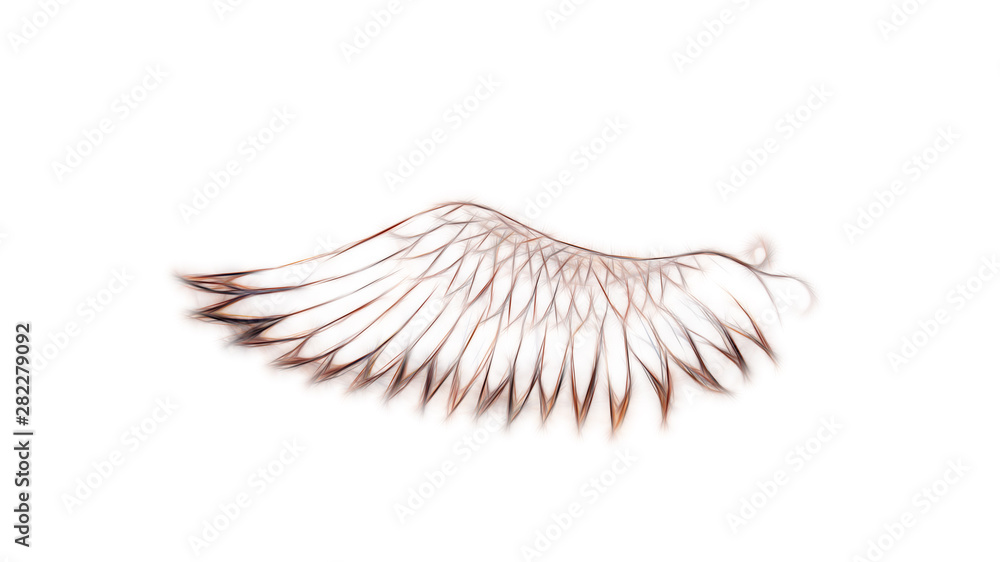 Poster bird feathers on white background. Original drawing and computer effect.