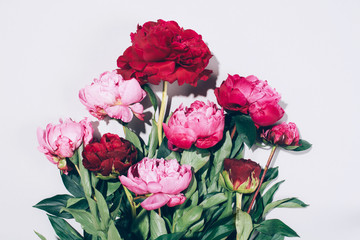 Beautiful pink peony flowers with hard shadow on pastel background, copy space. Trendy pattern, summer concept. Top view.