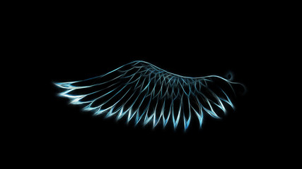 bird feathers on black background. Original drawing and computer effect.
