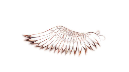 bird feathers on white background. Original drawing and computer effect.