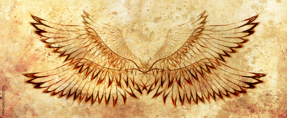 Aufkleber bird feathers on abstract background. Original drawing and computer effect.