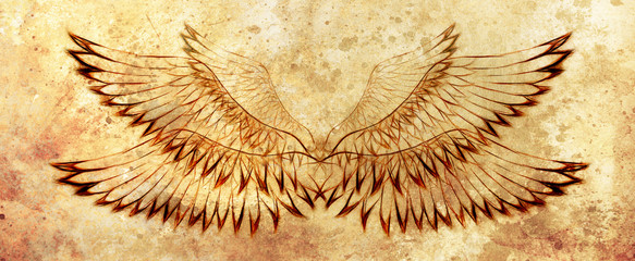 bird feathers on abstract background. Original drawing and computer effect.