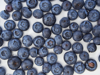 Fresh blueberry, concepts for healthy food