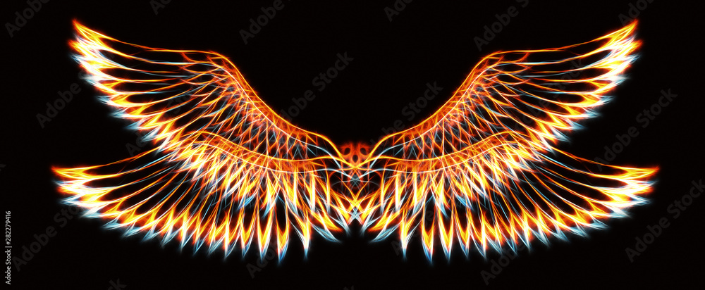 Poster bird feathers on black background. original drawing and computer effect.