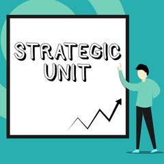 Conceptual hand writing showing Strategic Unit. Concept meaning profit center focused on product offering and market segment. Man standing pointing up blank rectangle Geometric background