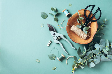 Eucalyptus branches and leaves, garden pruner, scissors, wooden plate over green background with copy space. Florist concept, top view