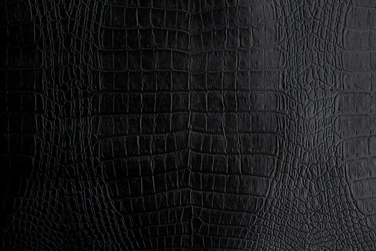 Genuine black Crocodile leather background in dark tone beautiful texture.