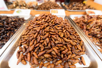 a lot of Beetle Fried Worms in tray
