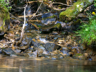 Wild steam in the Tyrol Alps mountains in Austria, at the ferleiten Park