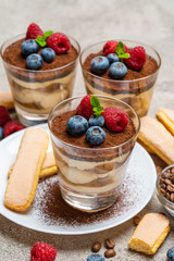 Classic tiramisu dessert with blueberries and raspberries and savoiardi cookies in a glass on concrete background