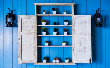 pastel blue wooden wall decorated with small plants on the white shelves with the frame as the window open