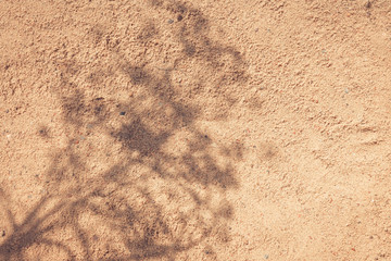 Top view of green tropical leaf shadow on sand color background. Flat lay. Minimal summer concept with palm tree leaf. Creative copyspace..