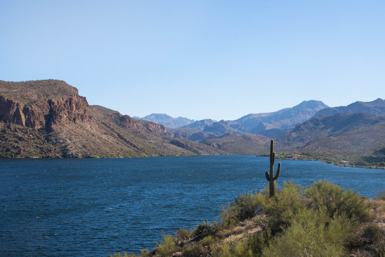 scenic and historic lake at apache trail arizona , cactus landscape and red rock formations on sunny day , united states