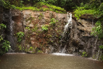 Beautiful forest Waterfalls of western Ghat of India