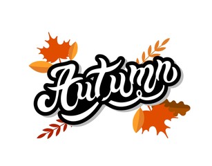 Autumn. Hand drawn lettering. Vector illustration. Best for Autumn design.