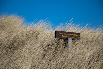 St Andrews West Sands Dunes preservation. Walkways allow easy access to the beach area for walkers. 