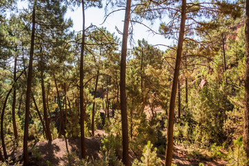 Fototapeta na wymiar Panoramic view of the ocher lands in the natural park