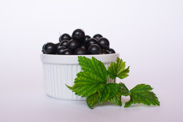 Currant. Black currants in a white ceramic cup on a white background.