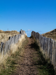 St Andrews West Sands Dunes preservation. Walkways allow easy access to the beach area for walkers. 