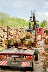 Aufladen von Baumstämmen auf einen LKW