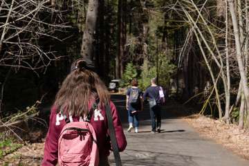 Wanderung durch den Nationalpark