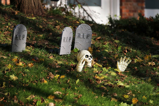 Halloween outdoor decoration Front yard of private house decorated by fake skull, bones hands and tombstones between foliage on green grass lawn for an old American trick-or-treat Halloween tradition.