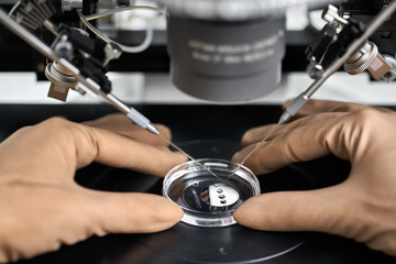Process of in vitro fertilization in laboratory
