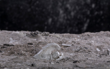  Religious background - hell realm.Halloween.Angel figurine in hellish ashes