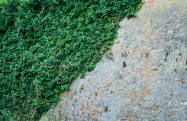 Petrovaradin, Serbia - July 17. 2019: Petrovaradin fortress; Old walls of Petrovaradin fortress