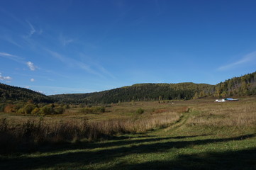 Obraz premium landscape with green field and blue sky