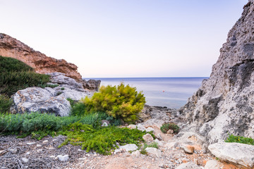 Fototapeta na wymiar Beautiful Wild Beach with Flora in Kalithea,Rhodes,Greece