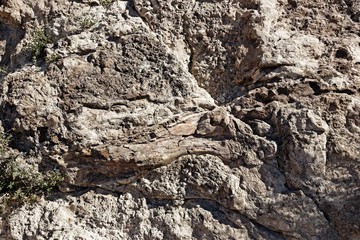 dinosaur bone in a wall in the Dinosaur National Monument in Utah