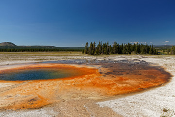 Opal Pool near Grand Prismatic Spring in the Yellowstone National Park