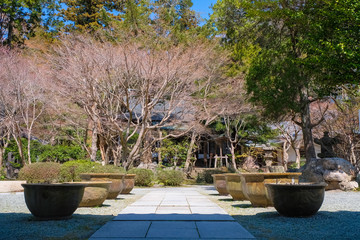 鎌倉 覚園寺 境内