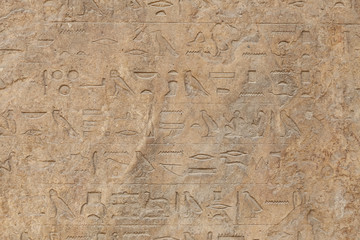 Hieroglyphics in Memphis, Cairo, Egypt