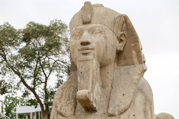 Sphinx in Memphis, Cairo, Egypt