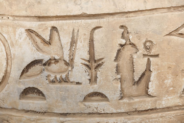 Hieroglyphics in Memphis, Cairo, Egypt