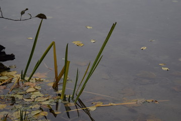 Schlachtensee Berlin Zehlendorf germany