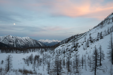 Fototapeta na wymiar Snowy panorama of the Val Bognanco that opens behind Domodossola, in background the moon Piedmont