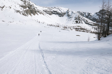 Group of hikers trekking in the mountains of the Alps.