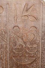 Hieroglyphics in Memphis, Cairo, Egypt
