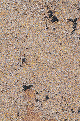 Бежевый фон