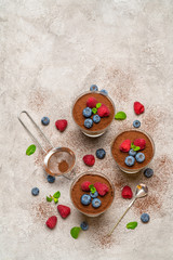 Fototapeta na wymiar Classic tiramisu dessert with blueberries and raspberries in a glass and strainer with cocoa powder on concrete background