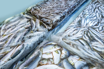 Deep freezing fish. Storage of frozen seafood. Transportation of fish. Industrial fishing. Seafood...