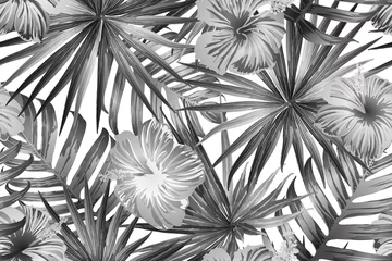  Zwart wit exotisch patroon. © Vialeta