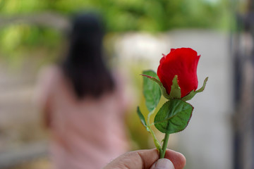 Red roses in the hands of men have blurred women as the background. The idea of...