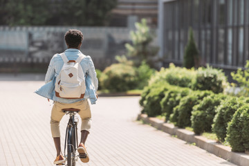 back view of african american man with backpack cycling along green bushes