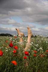 Female naked legs in the field of poppies.