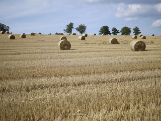 Strohballen nach der Getreideernte